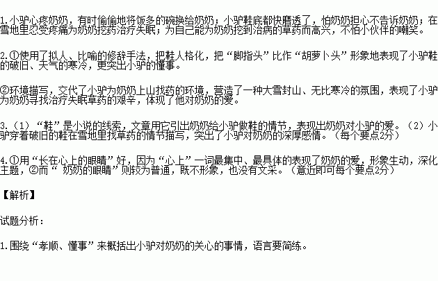 长在心上的眼睛读后感