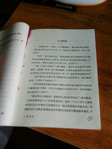 吹小号的天鹅读后感100字