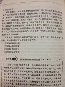 老人与海的读后感50字