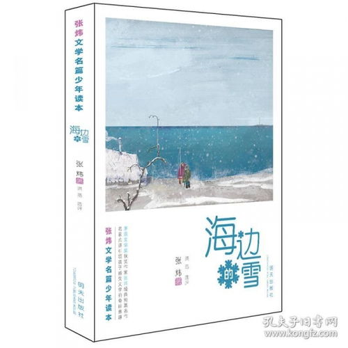 海边的雪读后感张炜