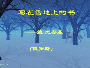 写在雪地上的书读后感