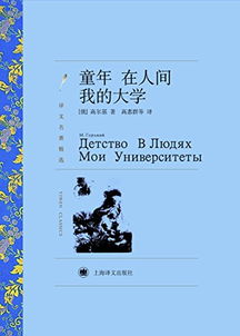 童在人间我的大学读后感1000字