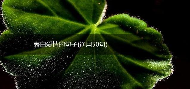 表白爱情的句子