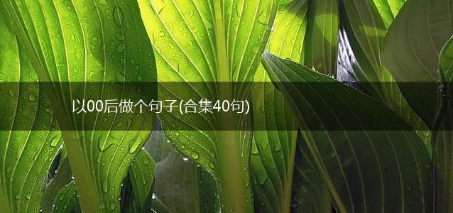 以00后做个句子