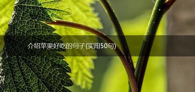 介绍苹果好吃的句子