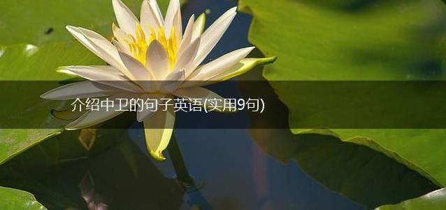 介绍中卫的句子英语