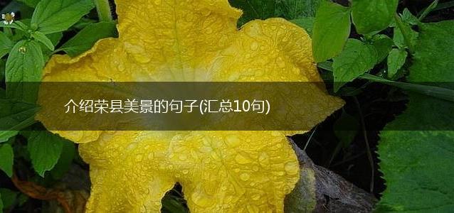 介绍荣县美景的句子