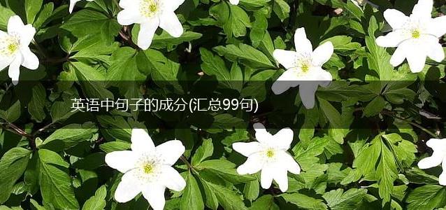 英语中句子的成分