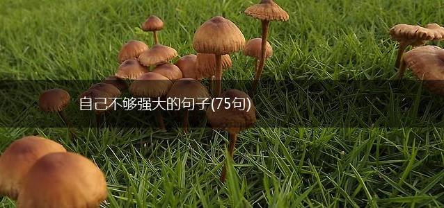 自己不够强大的句子