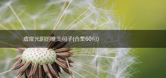 虚度光阴的唯美句子