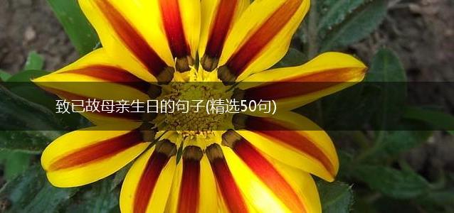 致已故母亲生日的句子