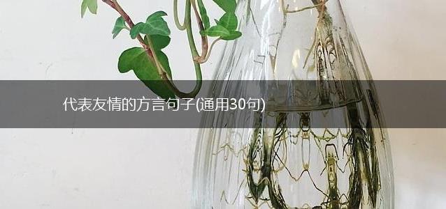 代表友情的方言句子