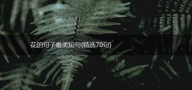 花的句子唯美短句