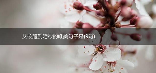 从校服到婚纱的唯美句子是