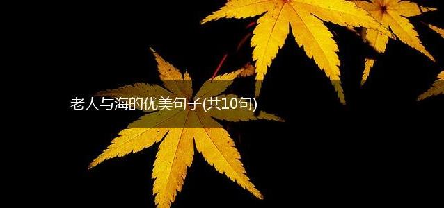 老人与海的优美句子