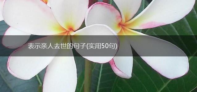 表示亲人去世的句子