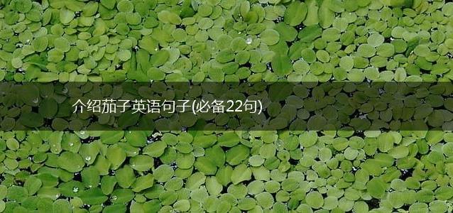 介绍茄子英语句子