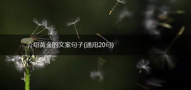 介绍黄金的文案句子