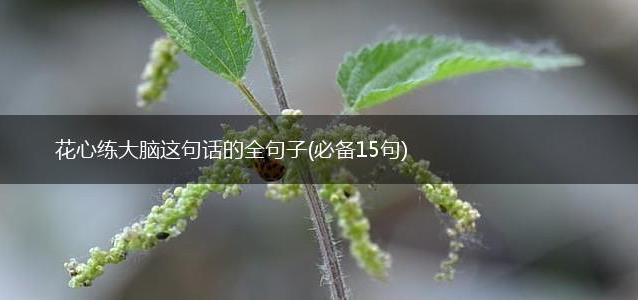 花心练大脑这句话的全句子