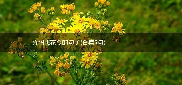 介绍飞花令的句子