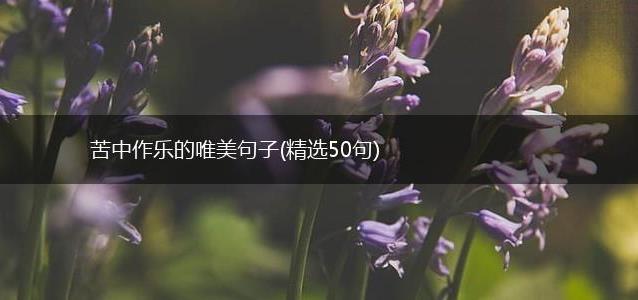 苦中作乐的唯美句子