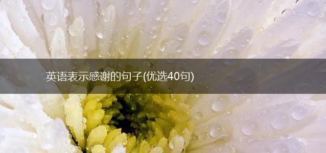 英语表示感谢的句子