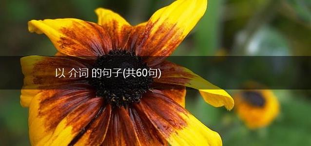 以 介词 的句子