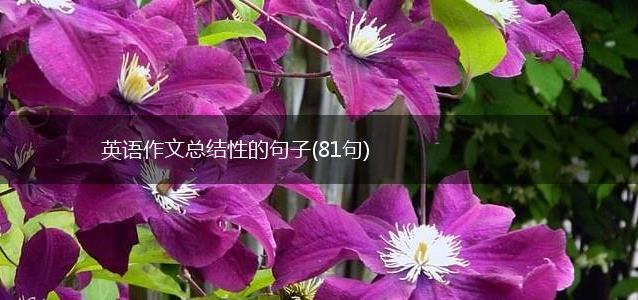 英语作文总结性的句子