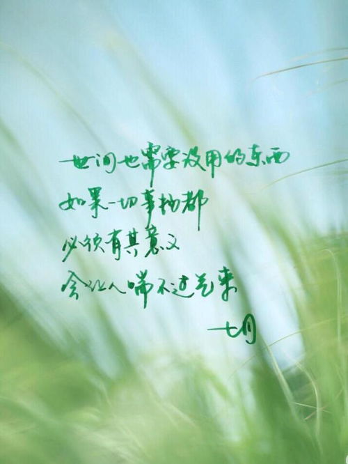 描写夏天的雨后的优美句子,描写夏天雨后的句子和段落,描写夏天天气好的句子