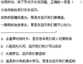 运用典型事例描写人物的句子,运用典型事例描写一个人的句子,运用典型事例描写的句子10个字