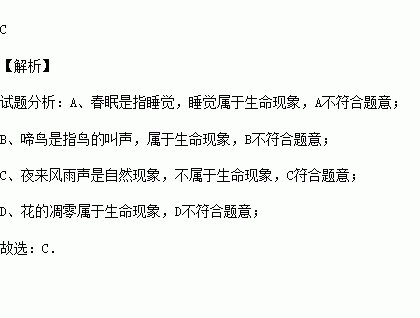 描写生命如诗的句子