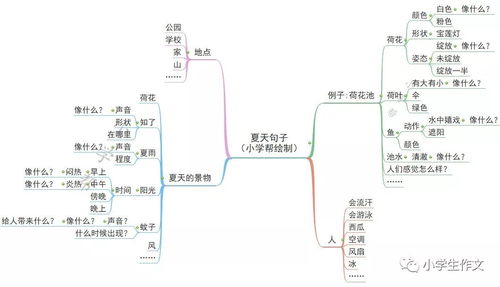 描写荷花比喻和拟人的句子,描写荷花的优美句子拟人,描写荷花开放的句子拟人的写法