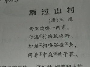 古文中描写全心全意为人民着想的句子