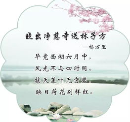 晓出净慈寺送林子方诗中描写景色的句子