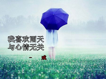 描写雨天环境的句子,描写阴沉的雨天的句子,描写雨天的优美句子短句