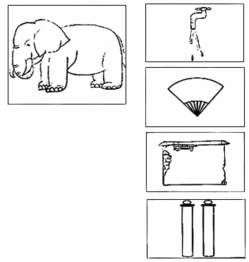 描写大象打比方的句子