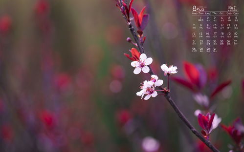 描写花香飘满屋的句子