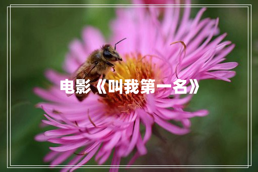 电影《叫我第一名》