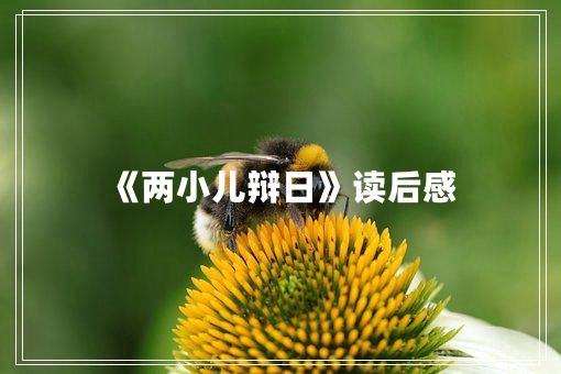 《两小儿辩日》读后感