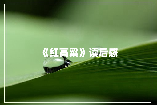 《红高粱》读后感