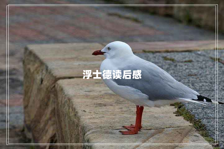 浮士德读后感