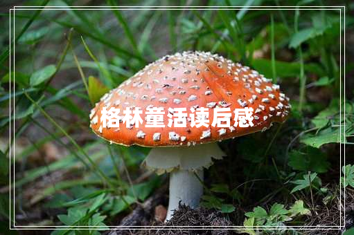 格林童活读后感