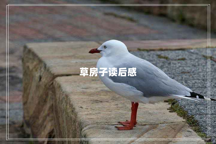 草房子读后感