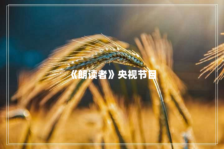 《朗读者》央视节目