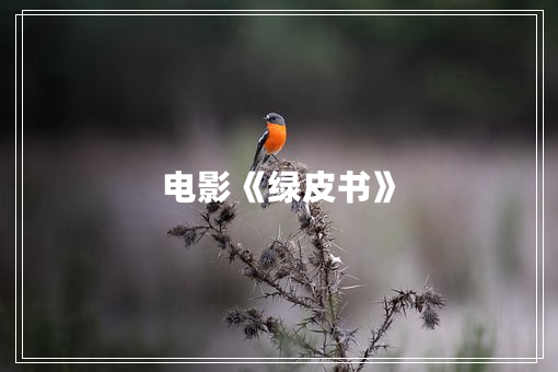 电影《绿皮书》