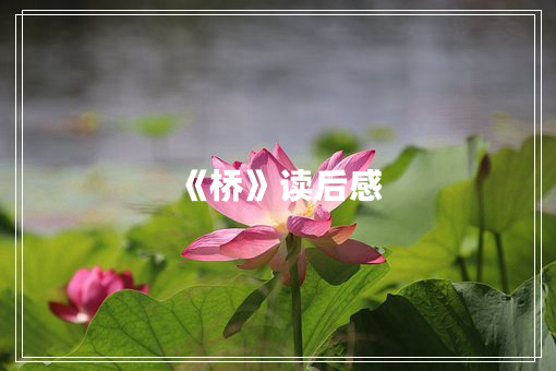 《桥》读后感