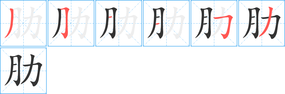 肋的笔画顺序