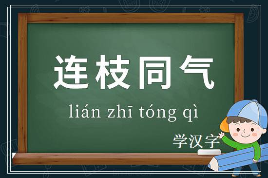 成语连枝同气释义