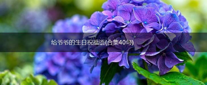 给爷爷的生日祝福语(合集40句),第1张