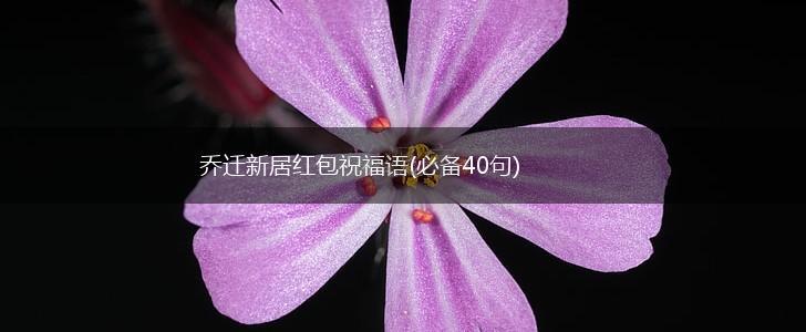 乔迁新居红包祝福语(必备40句),第1张